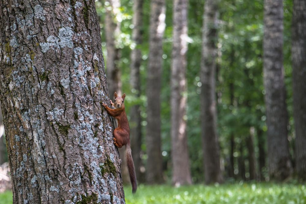 Фотография автора Юдинских Марина