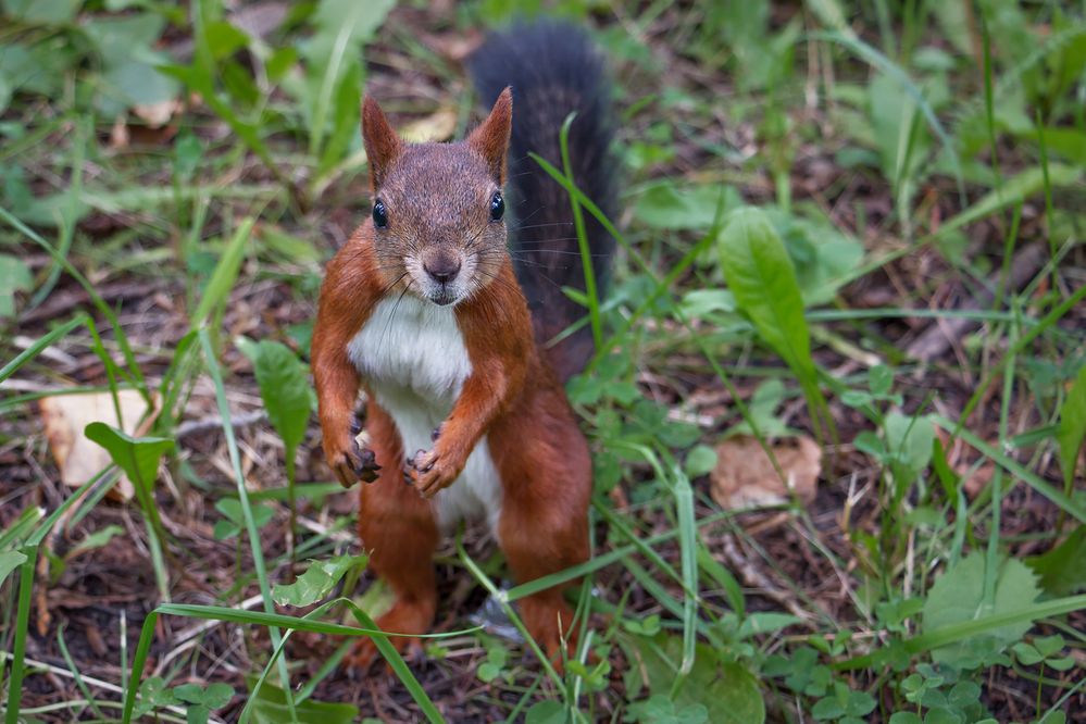 Фотография автора Юдинских Марина