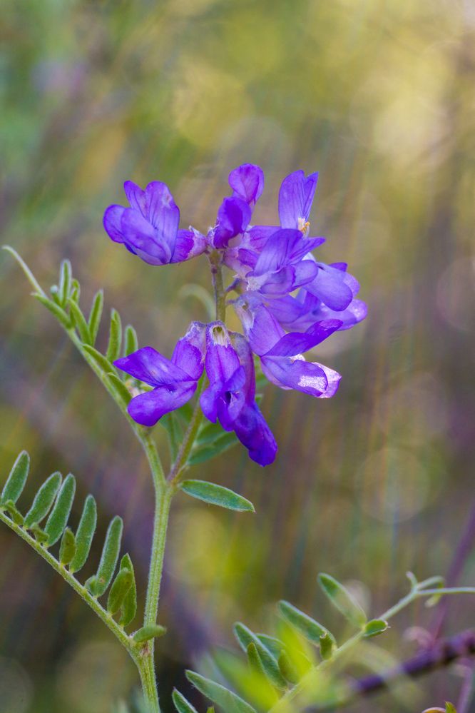 Photograph by Елена