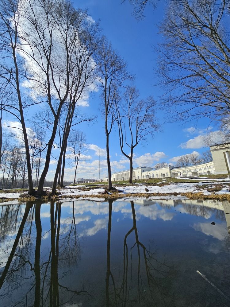 Photograph by НАТАЛЬЯ БОЧАРНИКОВА