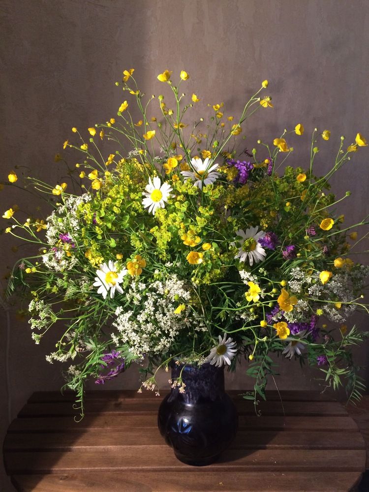 Photograph by Наталья Горохова