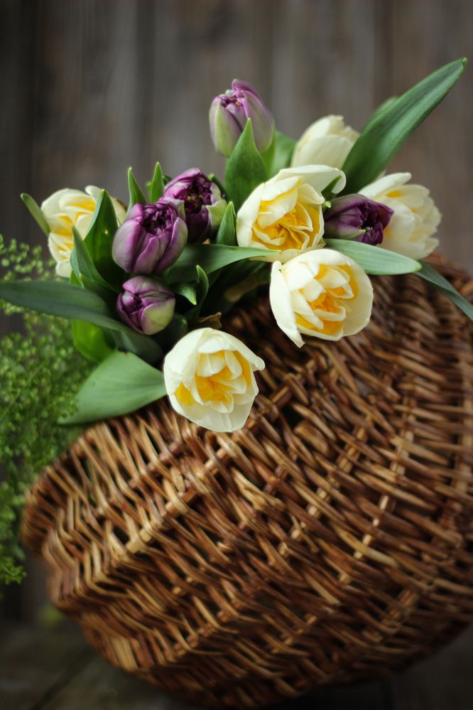 Photograph by Наталья Горохова