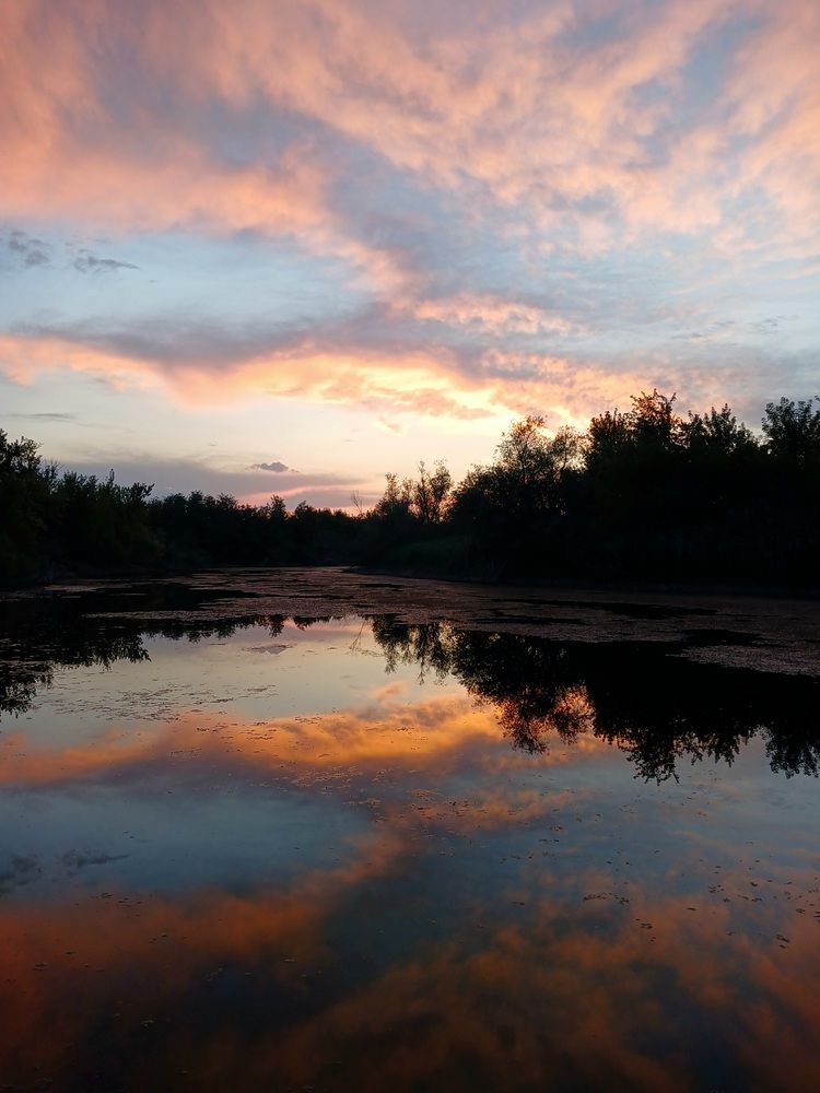 Photo #12508369