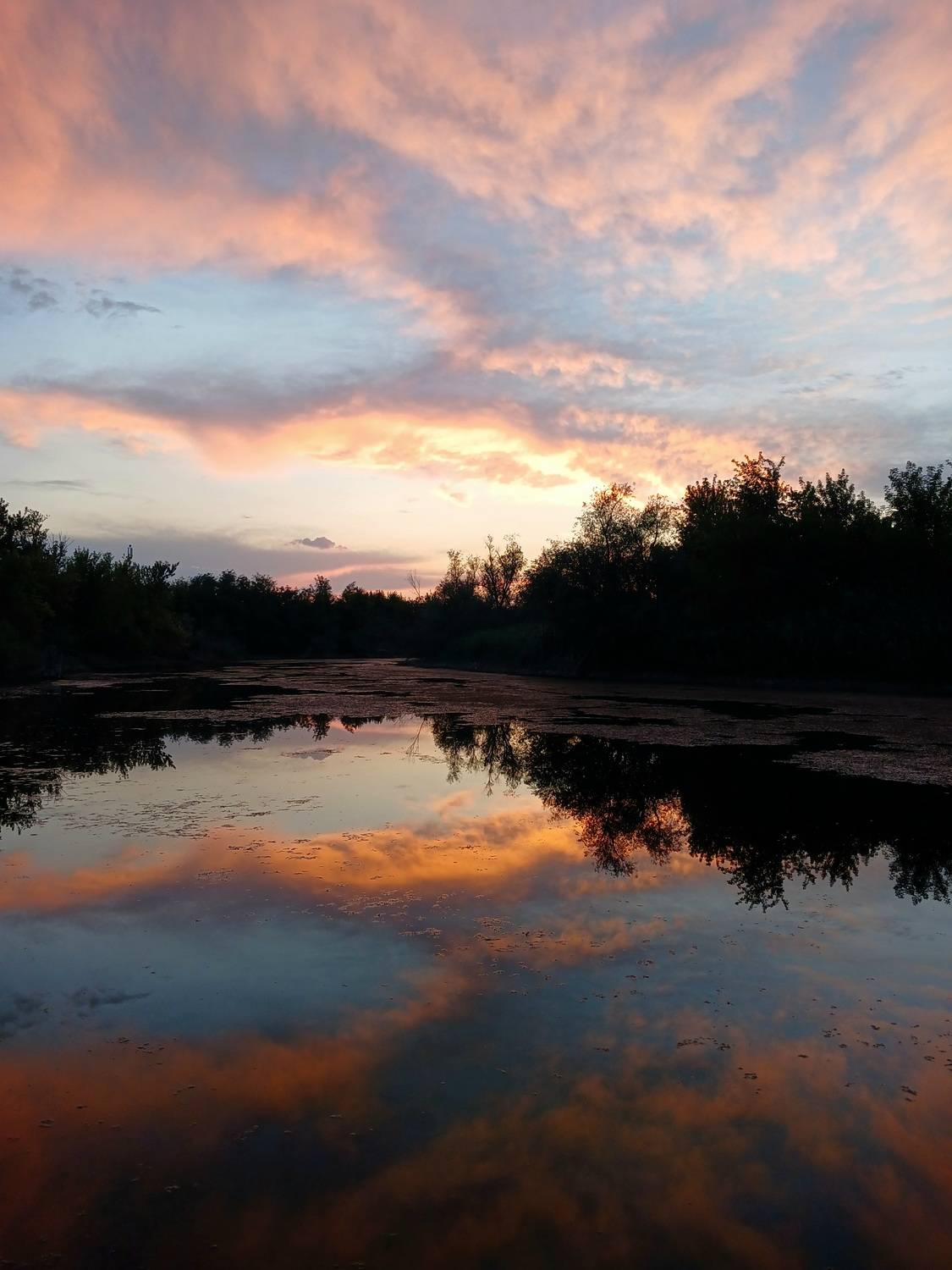 Photo #12508369