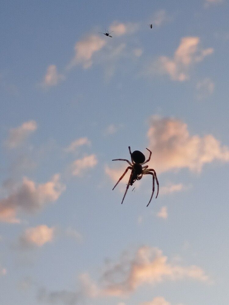 Photograph by Татьяна Королёва