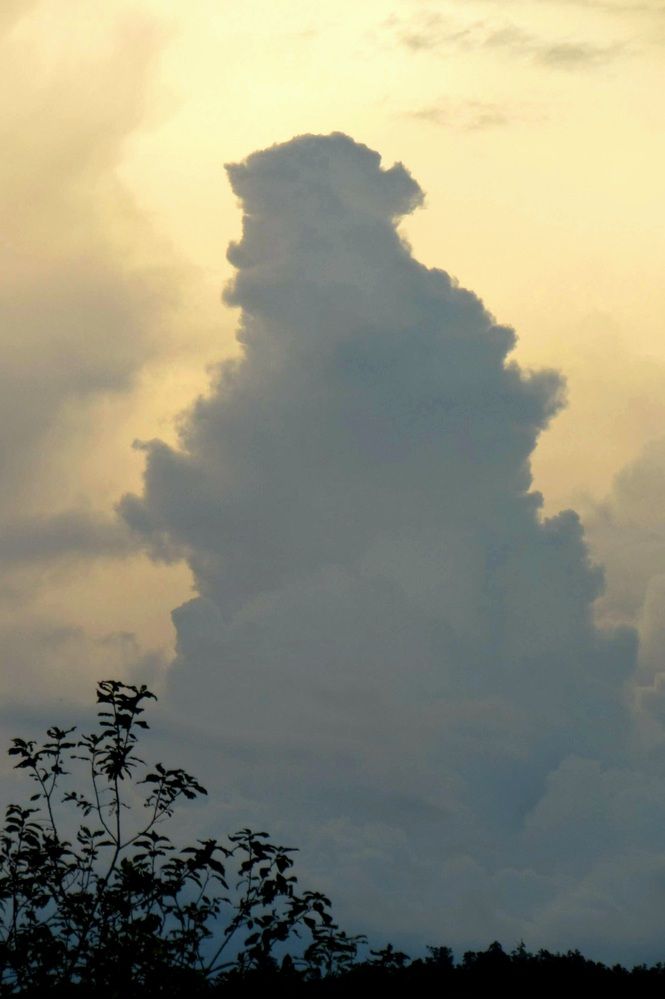 Photograph by Назмутдинова Сауия