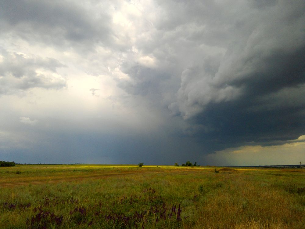 Photo #12508416