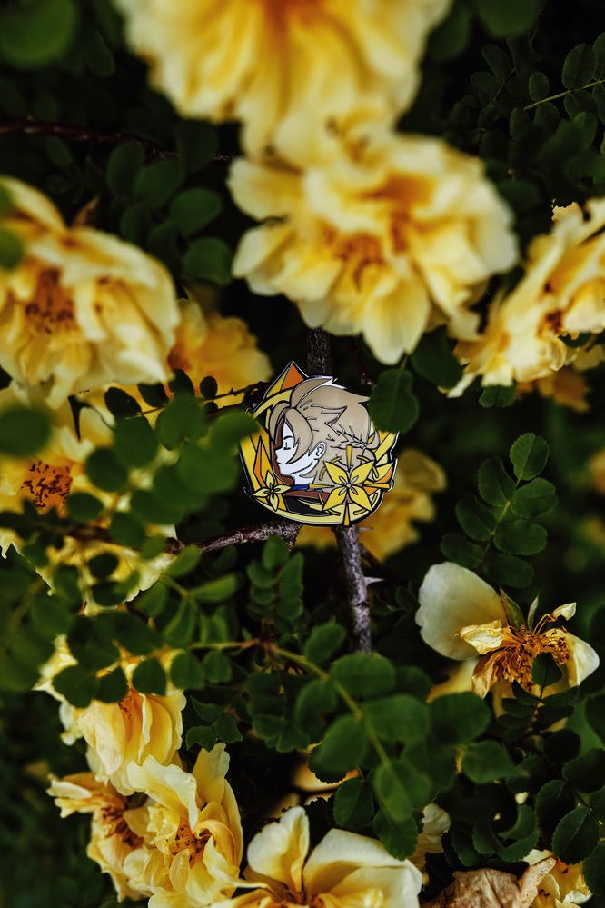 Photograph by Мороз Олег