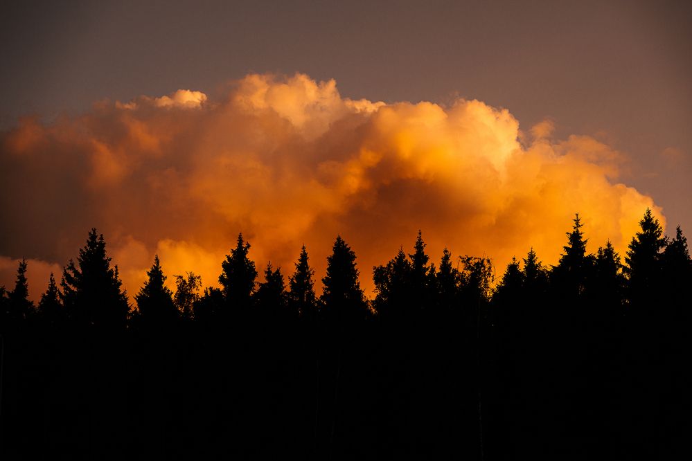 Photograph by Натали Захарова (Тай)