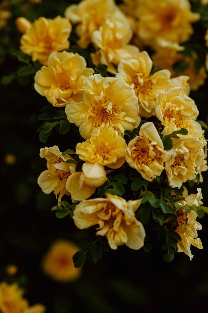 Photograph by Мороз Олег