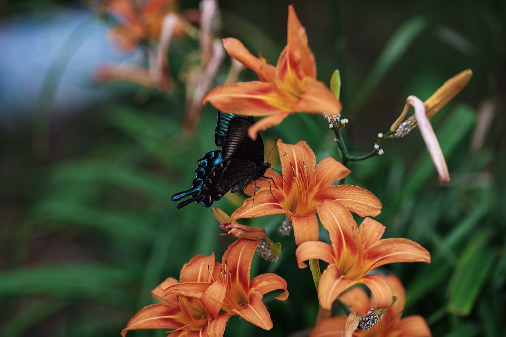 Photograph by Мороз Олег