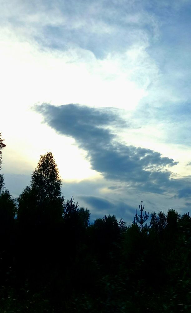 Photograph by Надежда Васильева