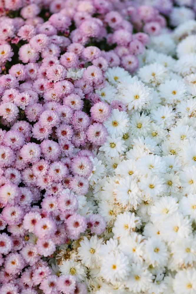 Photograph by Мороз Олег