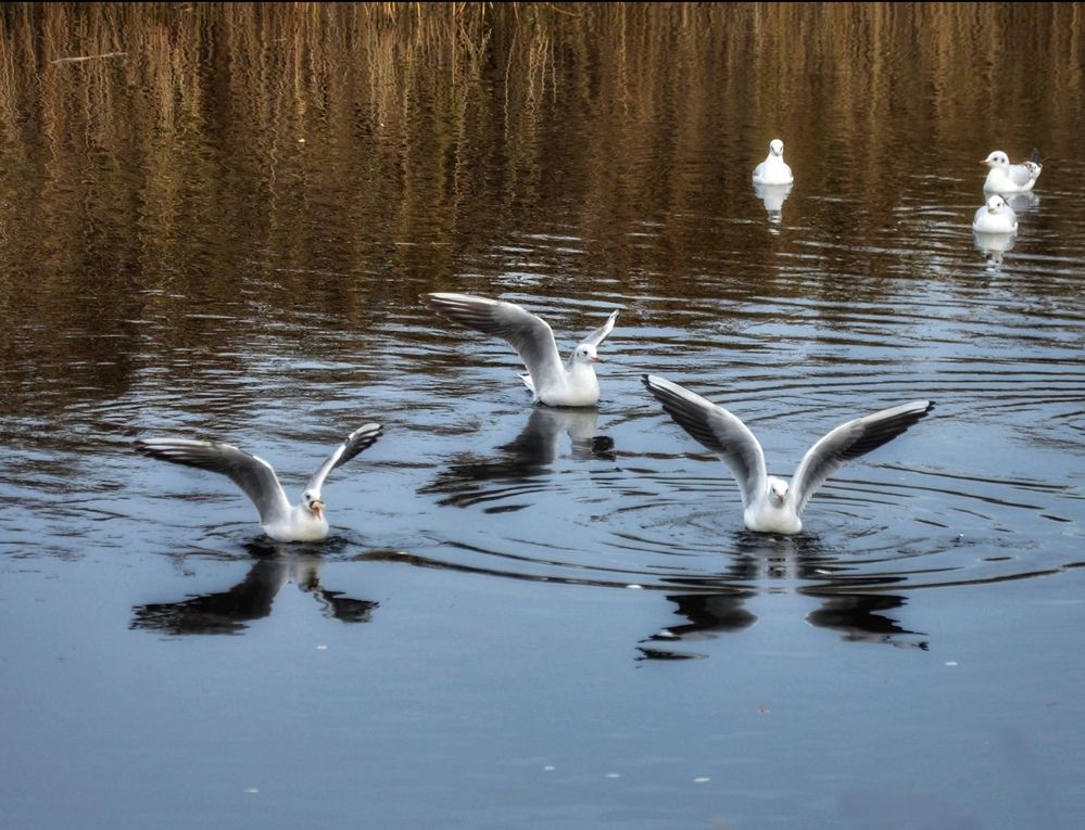 Photograph by Настя
