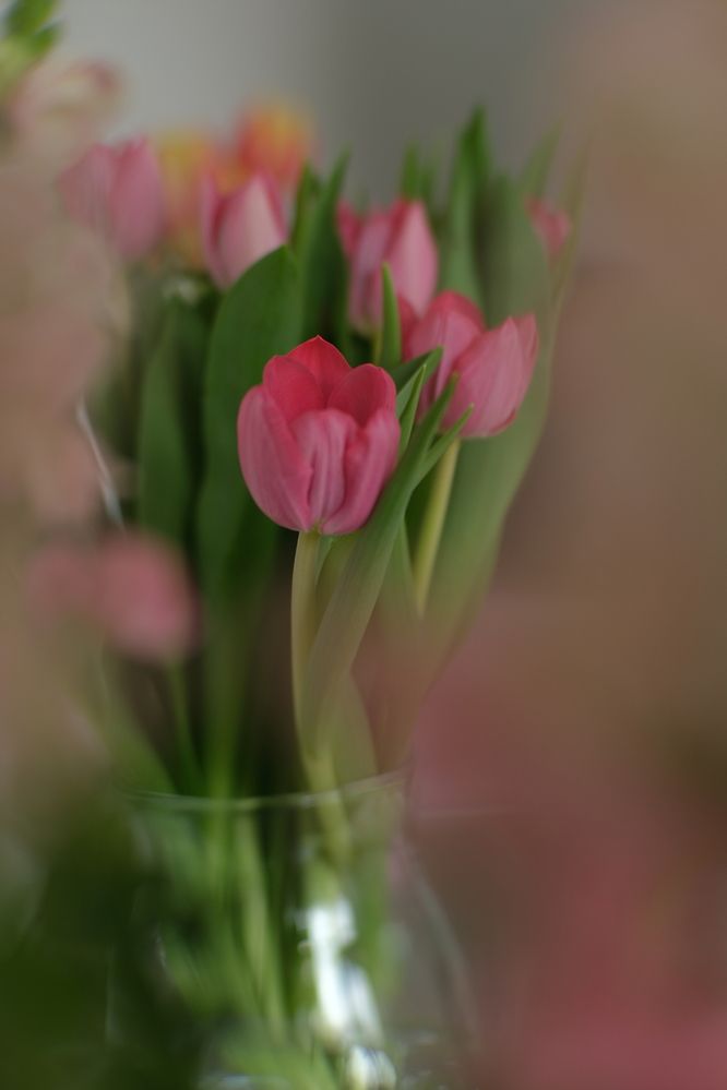 Photograph by Елена Колодкина