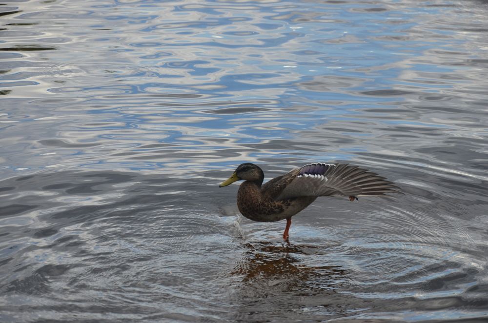 Photograph by Настя