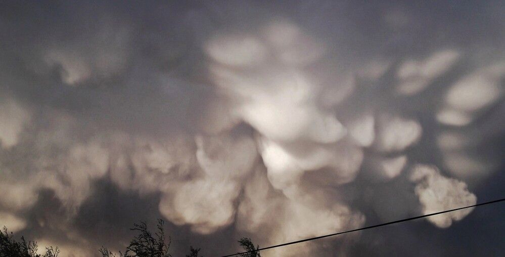 Photograph by Kim Natasha