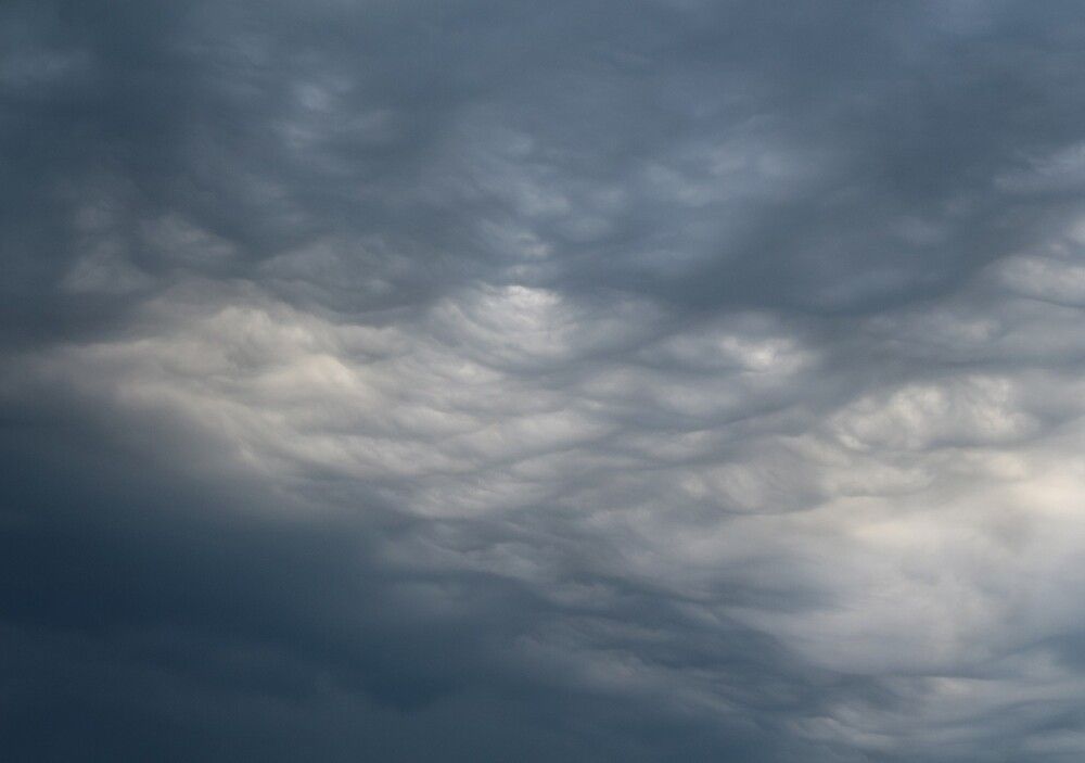 Photograph by Kim Natasha