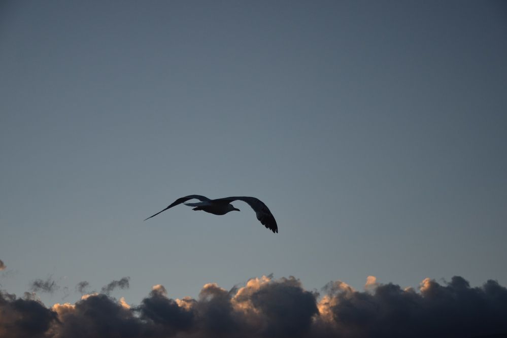 Photograph by Настя