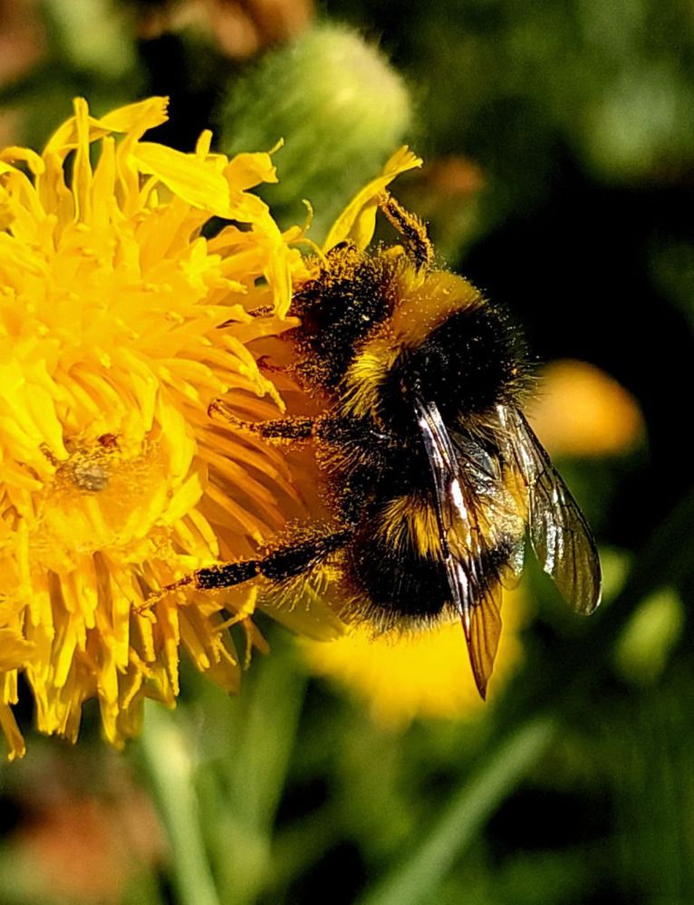 Сладкая парочка