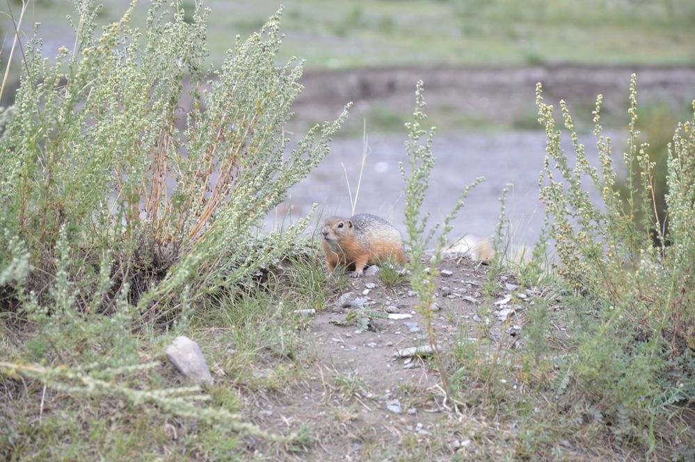 Photograph by Елена Савчук