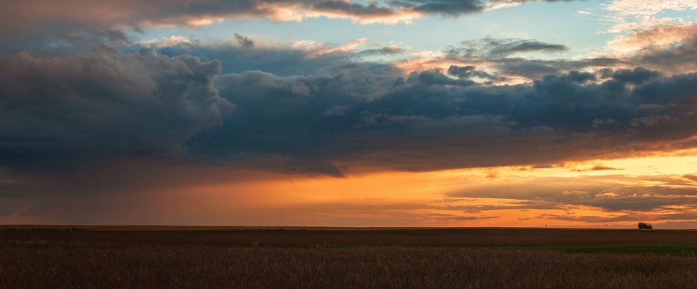 Photograph by Roman Dmitriev