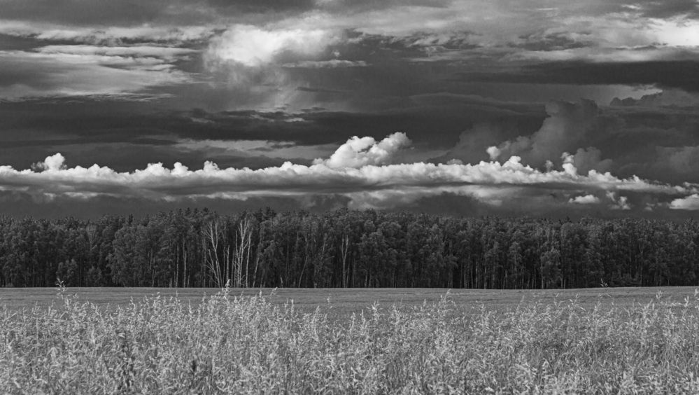 Фотография автора Каргин Валерий