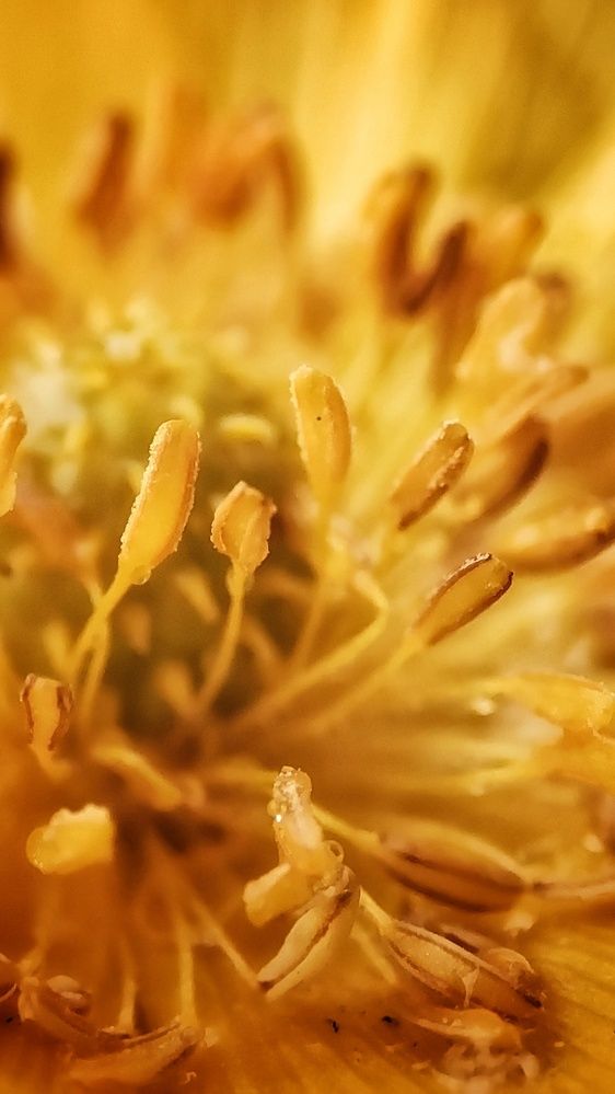 Photograph by Anastasia Malyukova