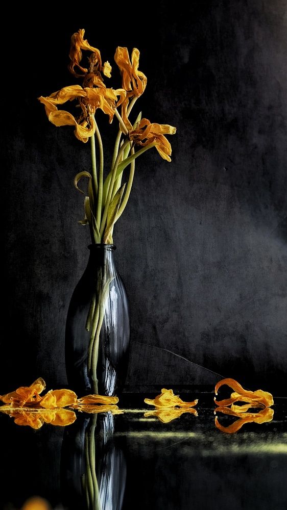 Photograph by Anastasia Malyukova