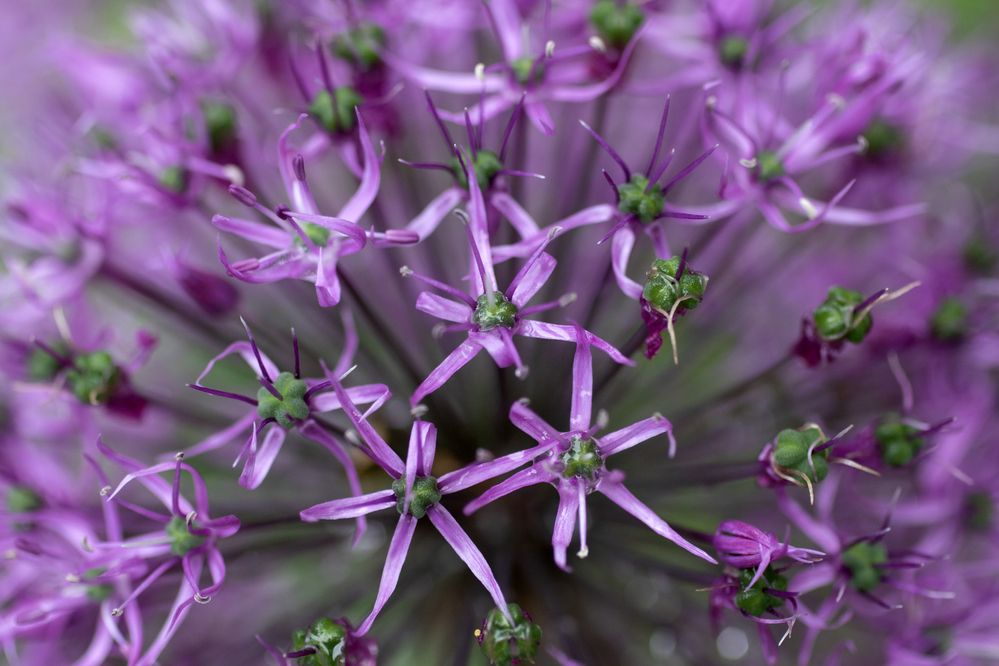 Photograph by Юлия Фомина