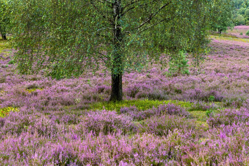 Photograph by Евгения Чех