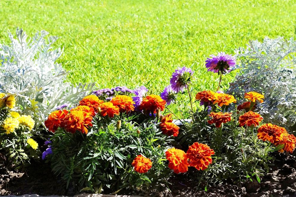 Photograph by Алексей Язвенко