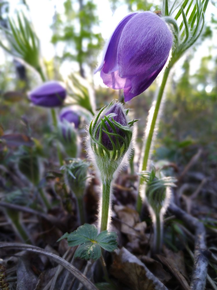 Photograph by Ольга Шангареева