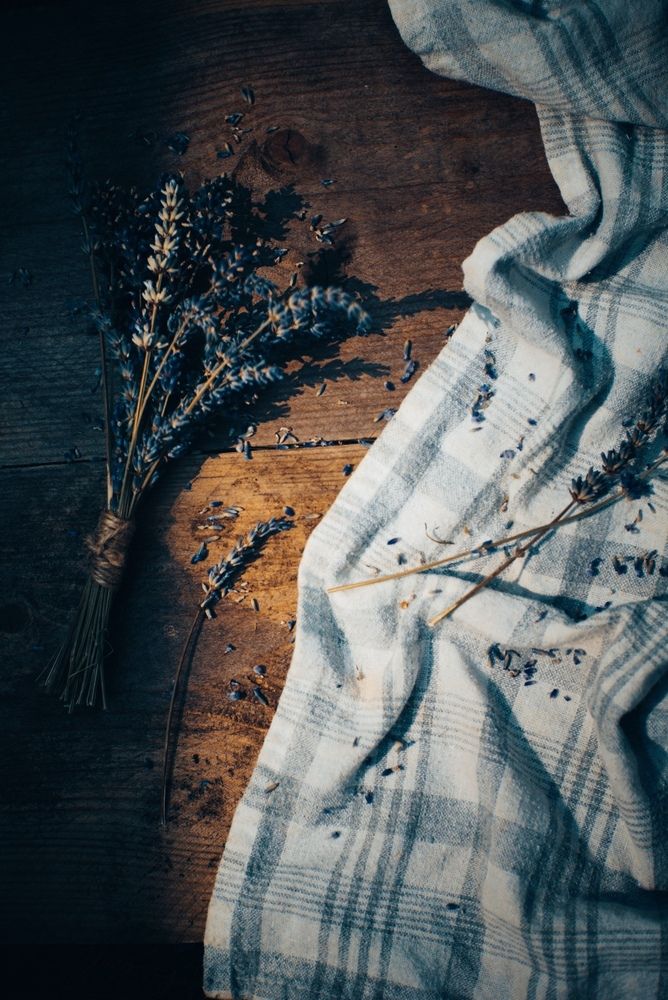 Photograph by Ljudmila Stupak