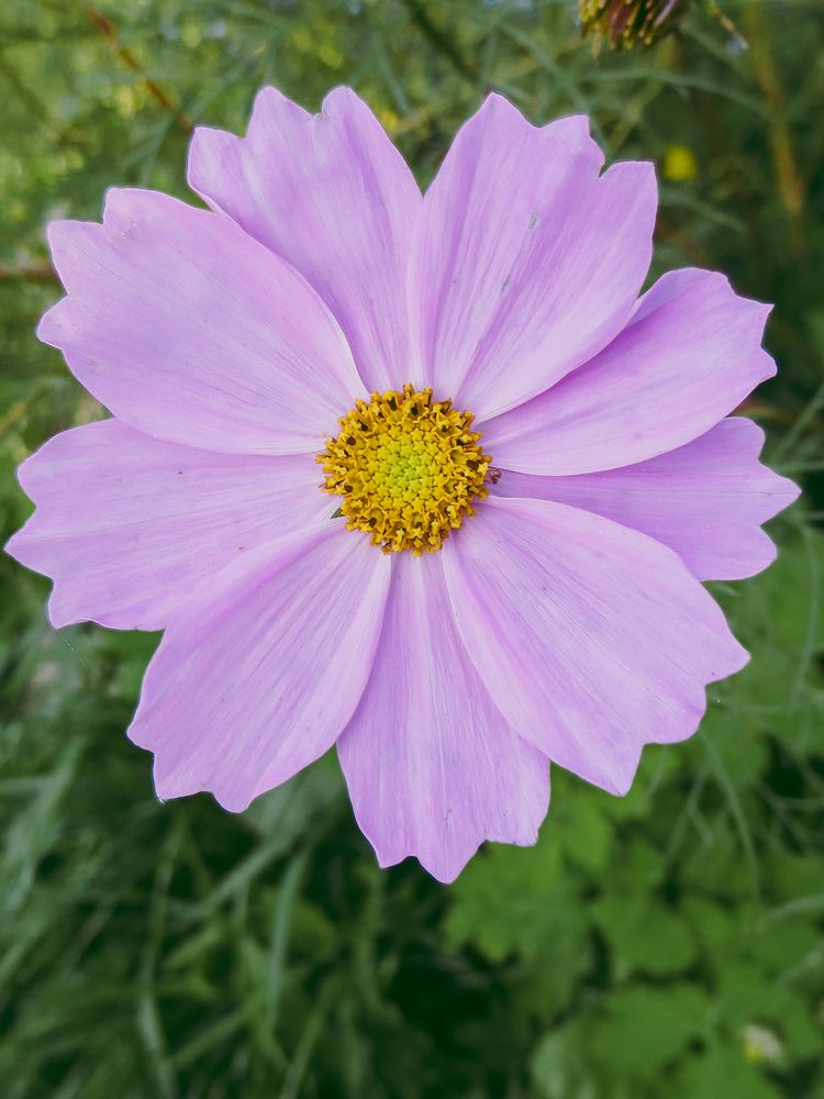 Photograph by Дарья Овсянникова