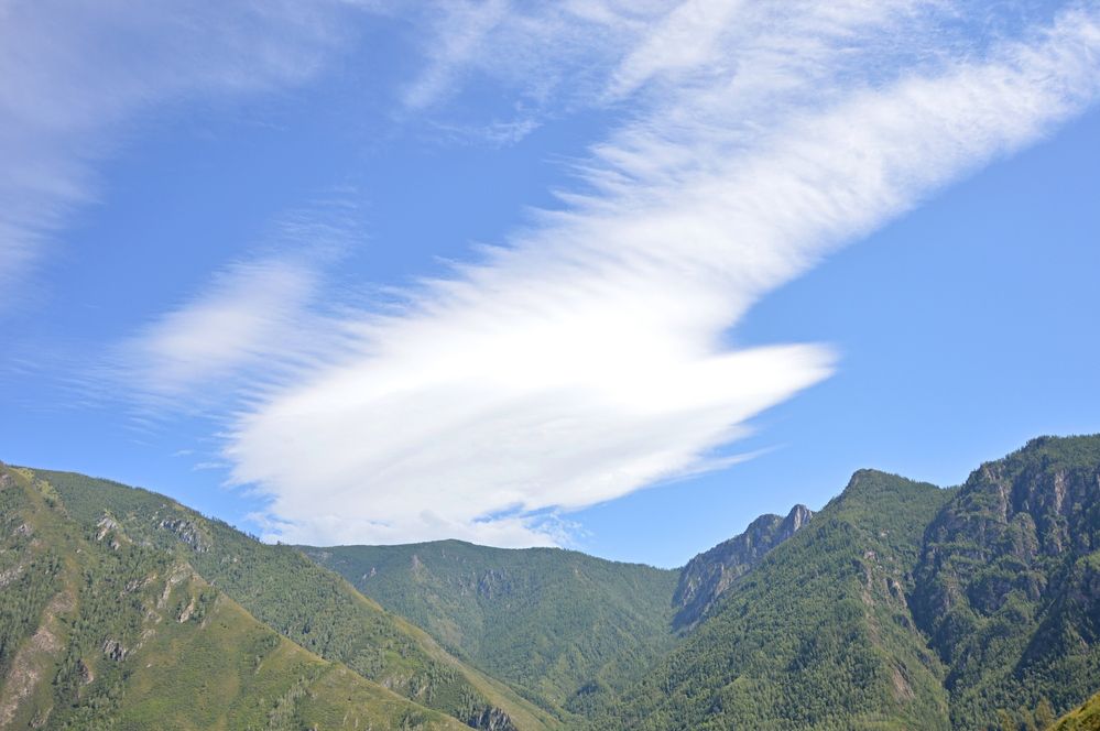 Photograph by Елена Савчук