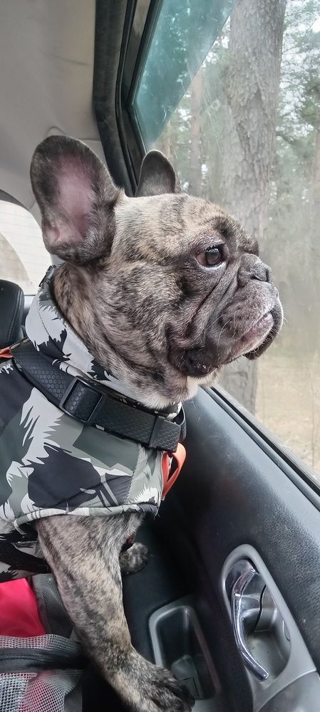 Фотография автора Геннадий Коробов