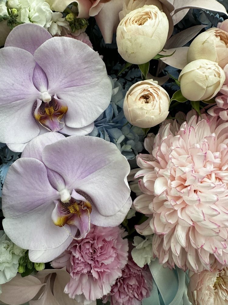 Photograph by Svetlana Rashidova