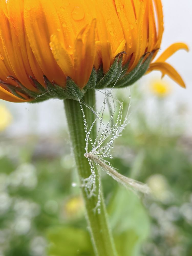 Photograph by Olga Kot