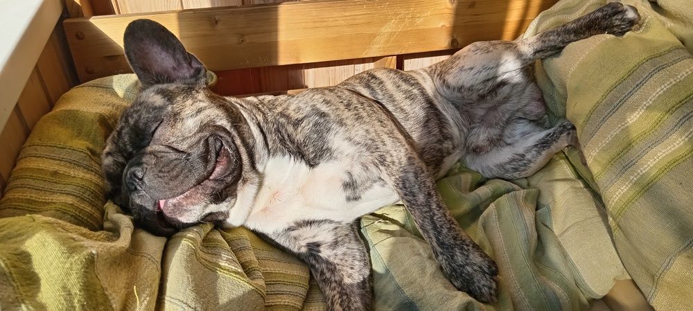 Фотография автора Геннадий Коробов