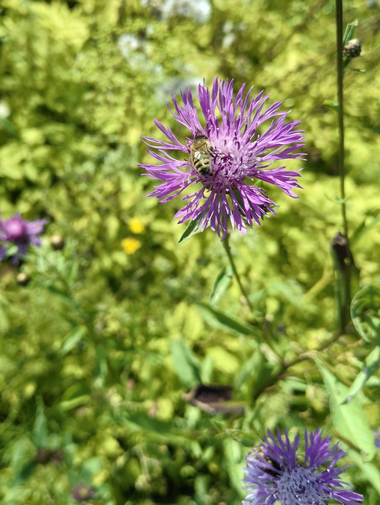 Photograph by Olga Kot