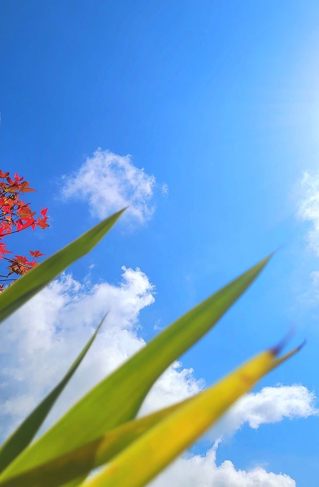 Photograph by claudia