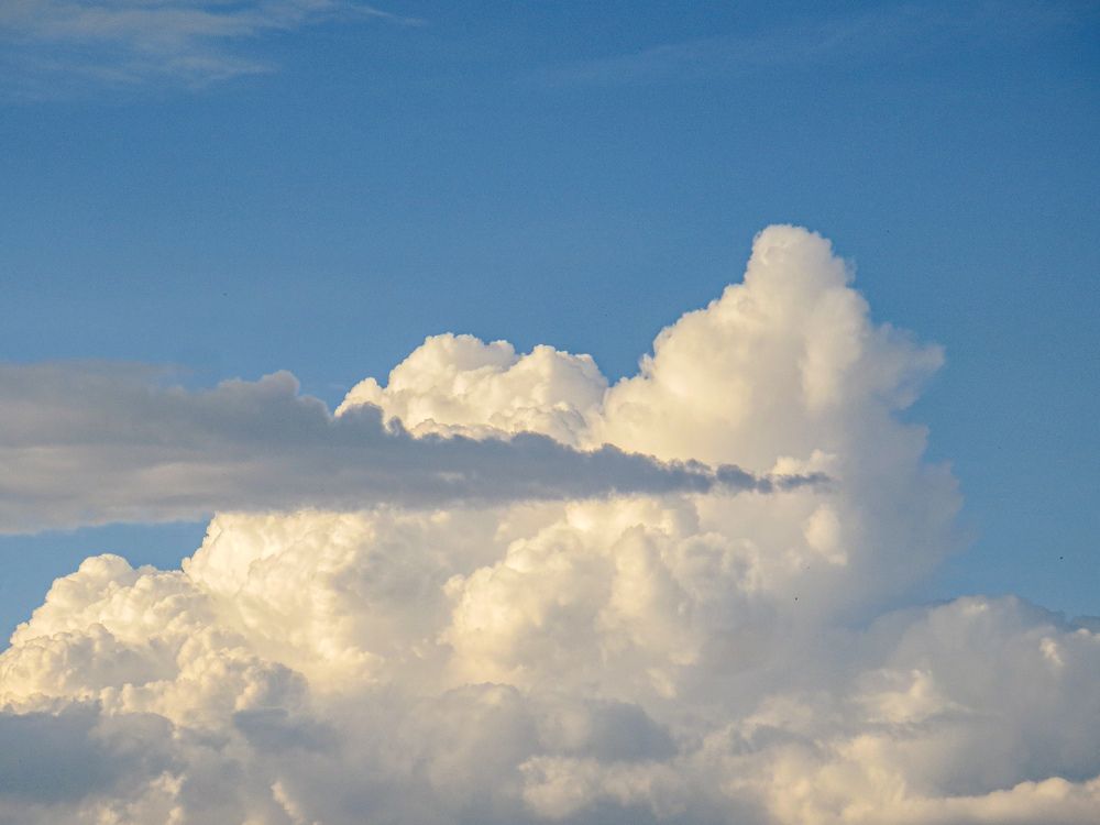 Photograph by Дарья Овсянникова