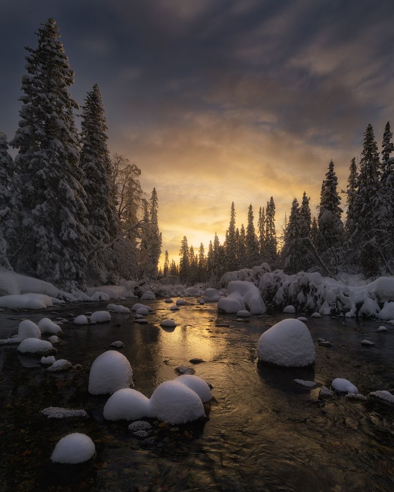 Photograph by Dmitry Medyancev