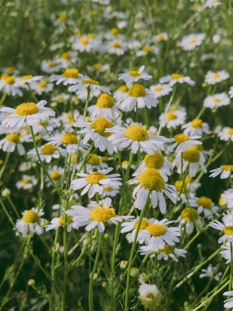 Photograph by Дарья Овсянникова