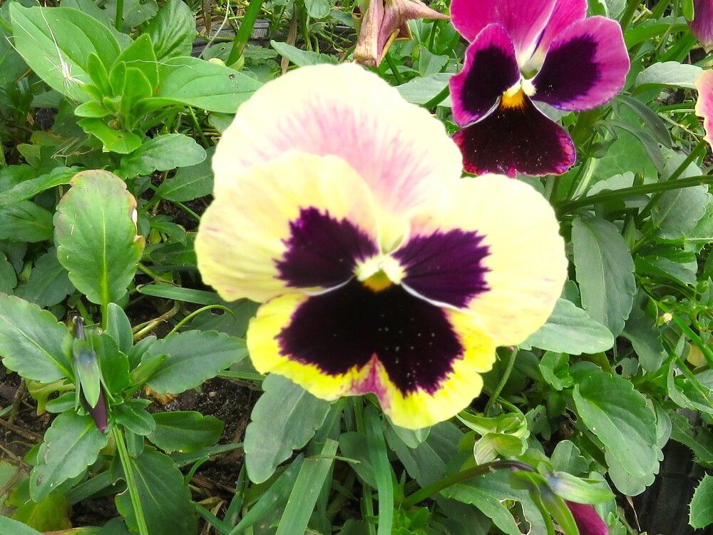 Photograph by Николай Горбачёв