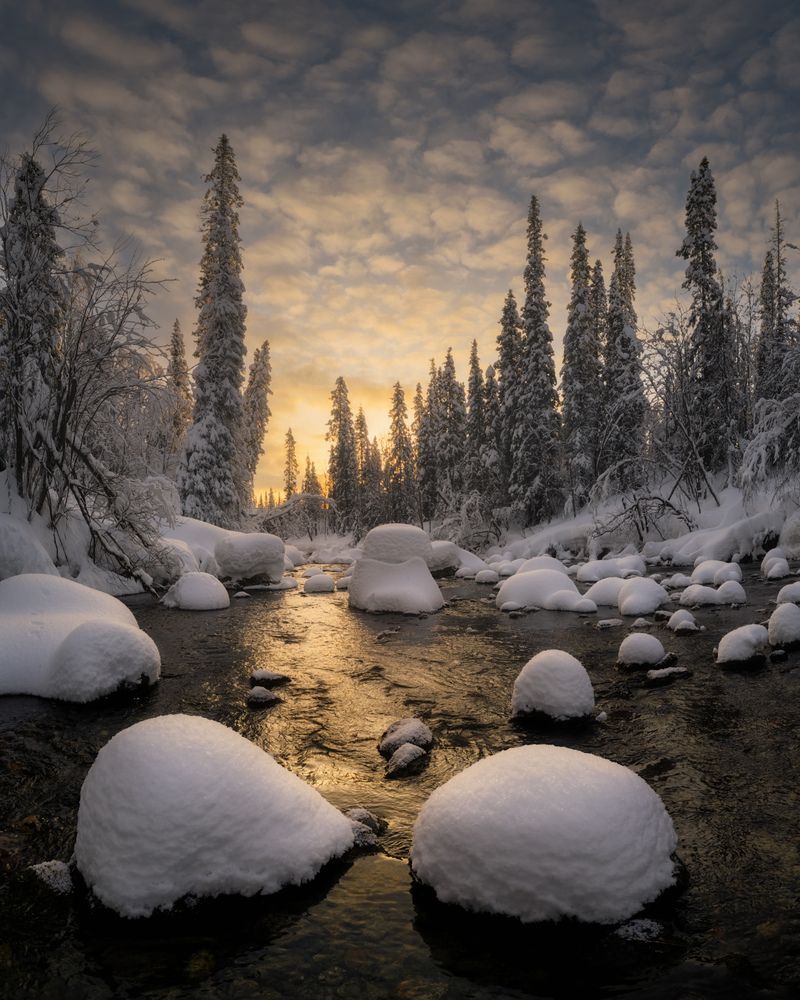 Photograph by Dmitry Medyancev