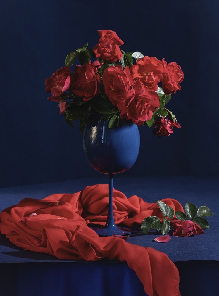 Photograph by Татьяна Зуйкова