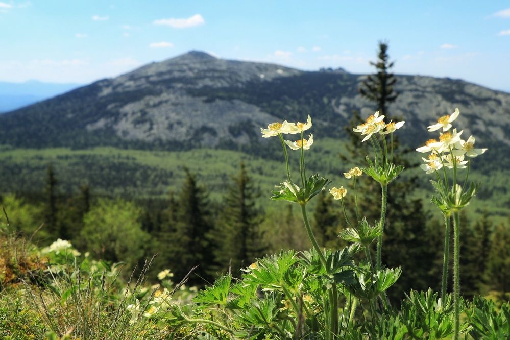 Фотография автора Анатолий Нифантов