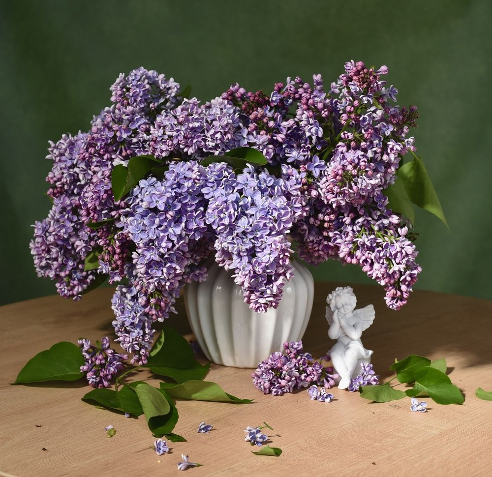 Photograph by Татьяна Зуйкова